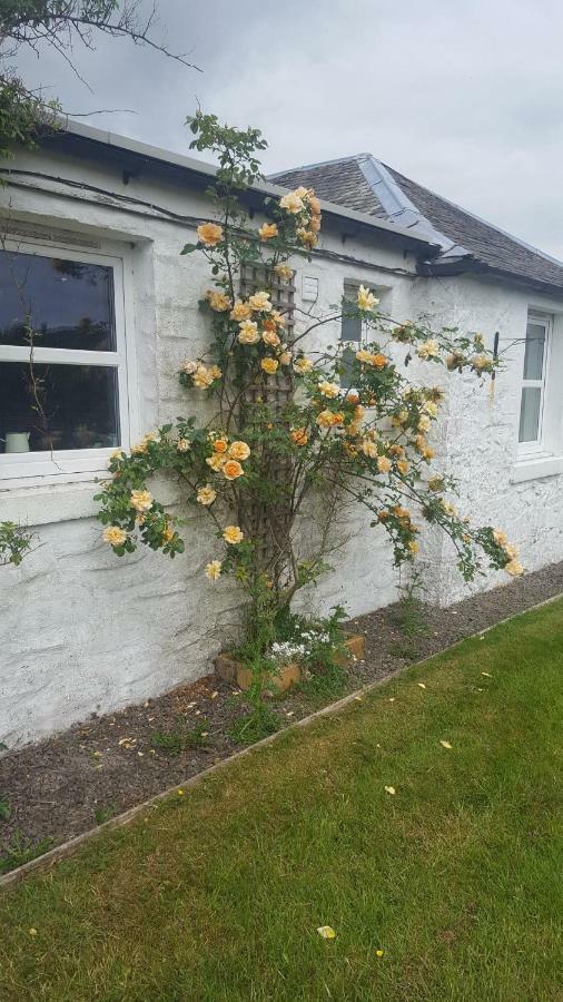 Barcloy Honey House Villa Kirkcudbright Eksteriør billede