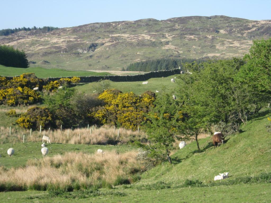 Barcloy Honey House Villa Kirkcudbright Eksteriør billede